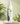 Kismera Line Regenerating Shampoo For Hair Growth ( 500 ml / 16.9 fl.oz. )